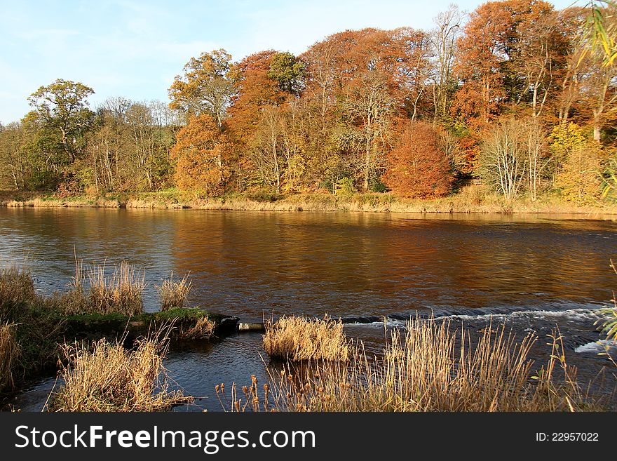 Taken on the River Tweed, Scotland during the Autumn. Taken on the River Tweed, Scotland during the Autumn