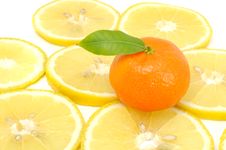 Tangerine With Green Leaf On Lemon Slices Stock Photography Tangerine With Green Leaf On Lemon Slices Stock Photography