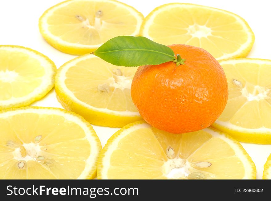 A tangerine with a green leaf on lemon slices against a white background. A tangerine with a green leaf on lemon slices against a white background