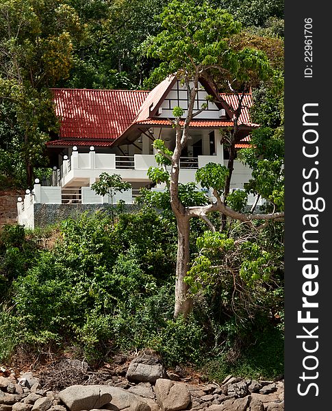 A Lone House In The Tropical Jungles