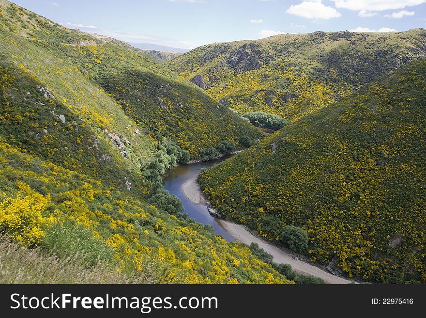 Hills landscape with a river in New Zealand