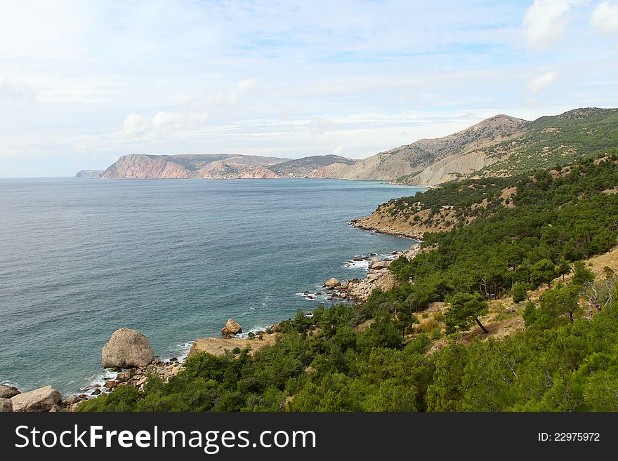 Rocky coastline with pine trees on blue sky and sea background ( Inzhir reserve, Crimea, Ukraine)