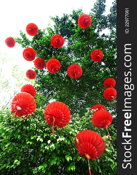 Many red lanterns hung on the trees for chinese new year. Many red lanterns hung on the trees for chinese new year