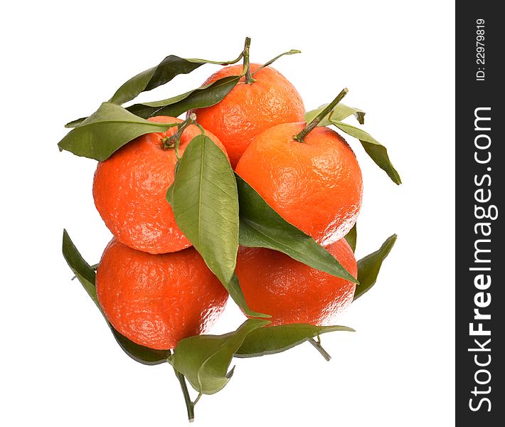 Three ripe tangerines with leaves, white background mirror reflection rn