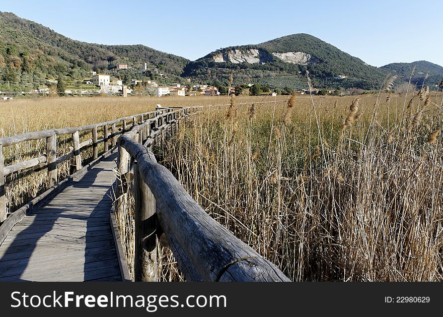 View of nature oasis of massaciuccoli lake in tuscany
