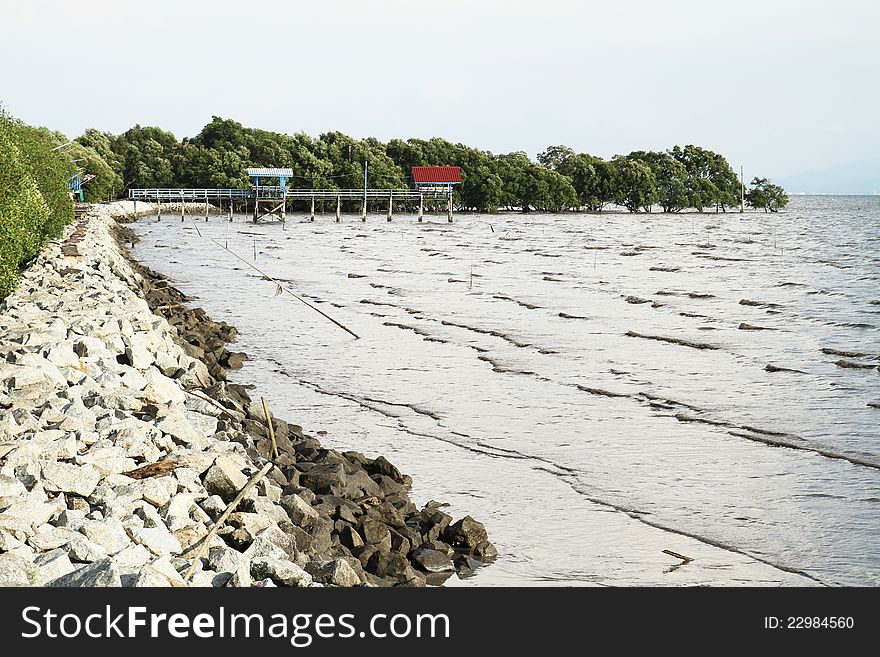 Stone dam at mangrove conservation center in Thailand. Stone dam at mangrove conservation center in Thailand