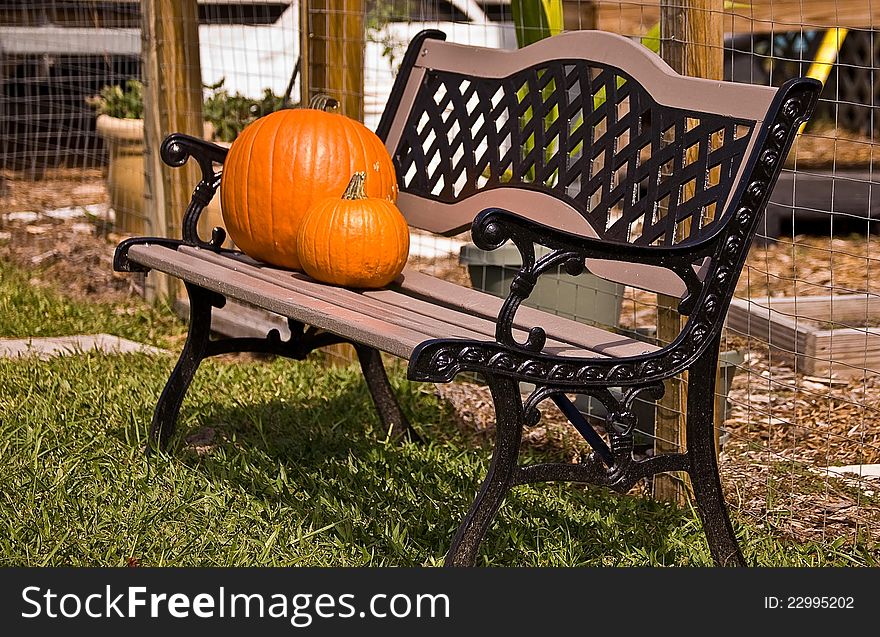 Two pumpkins sitting on a bench. Two pumpkins sitting on a bench.