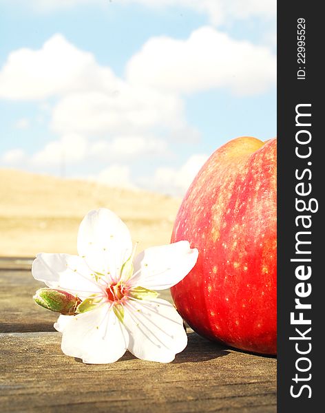 Fresh red apple with a flower in the sky on the table. Fresh red apple with a flower in the sky on the table