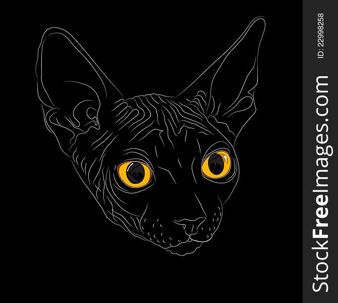 Vector Sketch the cat breed Sphynx