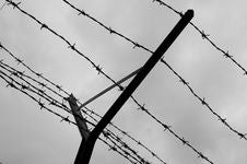 Barbed Wire Fence Stock Photo Barbed Wire Fence Stock Photo