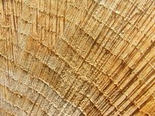 Woodgrain Close-up Royalty Free Stock Image