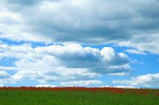 Poppy Field Royalty Free Stock Images Poppy Field Royalty Free Stock Images