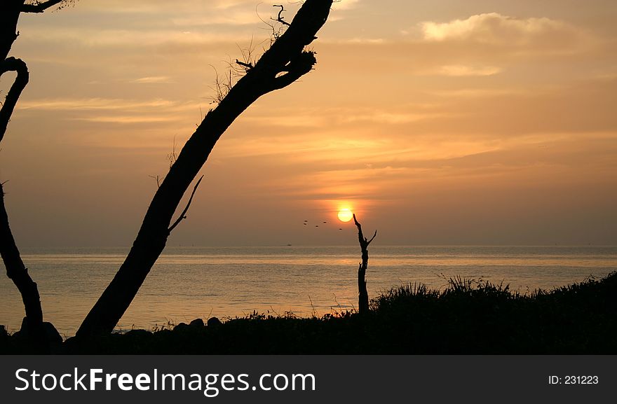 Sunrise over the Atlantic Ocean with seagulls.