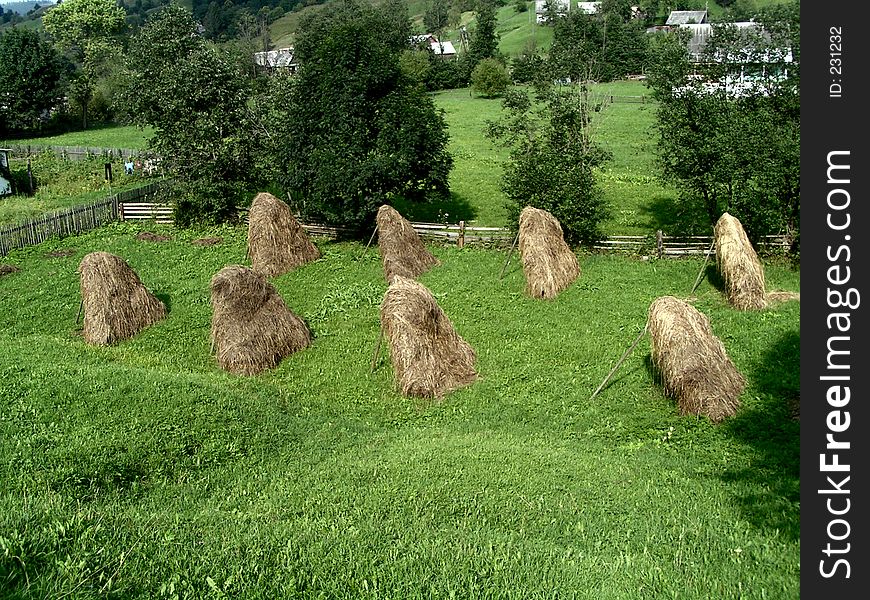 Mountain pasture with small hay stacks