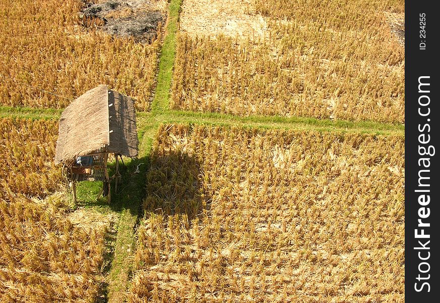 After harvested rice field with rest hut ,Seminyak, BALI 2004. After harvested rice field with rest hut ,Seminyak, BALI 2004