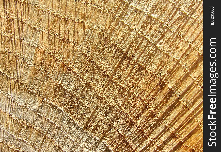 Up close look at a freshly cut log and the woodgrain. Up close look at a freshly cut log and the woodgrain