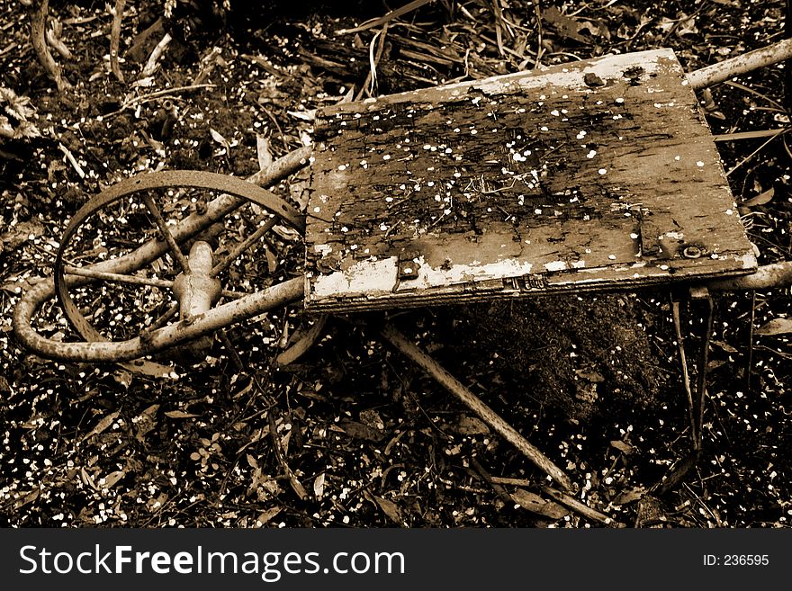 Rusty antiquated wheelbarrow sits under a plum tree in spring. Surrounded by leaf litter and sprinkled by petals. Sepia-toned. Rusty antiquated wheelbarrow sits under a plum tree in spring. Surrounded by leaf litter and sprinkled by petals. Sepia-toned.