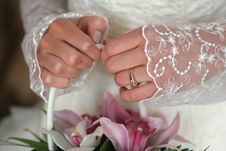 Posy In The Hands Royalty Free Stock Photography Posy In The Hands Royalty Free Stock Photography