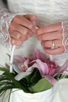 Posy Royalty Free Stock Images Posy Royalty Free Stock Images