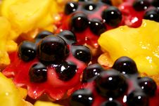 Tarts Stock Photography Tarts Stock Photography