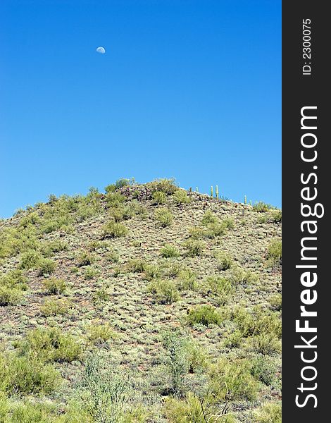 Moon, Mountain and Saguaro cactus in the desert in Scottsdale, Arizona. Moon, Mountain and Saguaro cactus in the desert in Scottsdale, Arizona