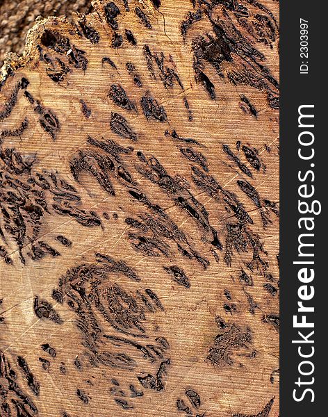 A Macro Wood grain texture shot. A Macro Wood grain texture shot.
