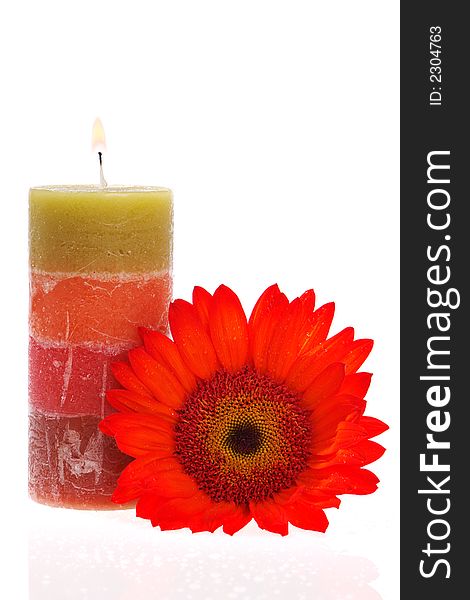 Burning candle and red flower. Burning candle and red flower
