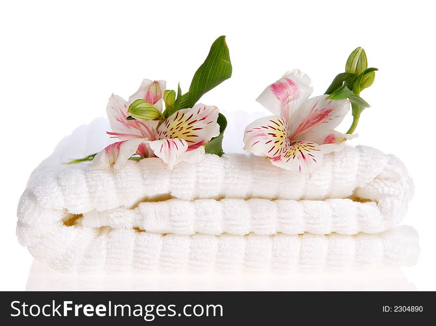 Towel and flowers on white background. Towel and flowers on white background