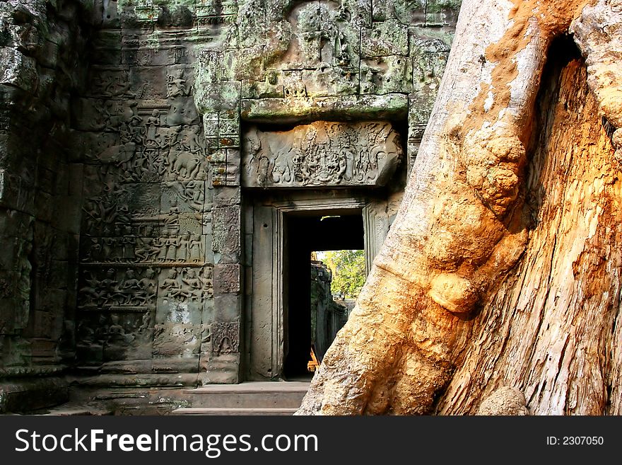 Entrance building to ta prom temple in  angkor ruins,  cambodia, with giant tree glowing it the early morning light. Entrance building to ta prom temple in  angkor ruins,  cambodia, with giant tree glowing it the early morning light