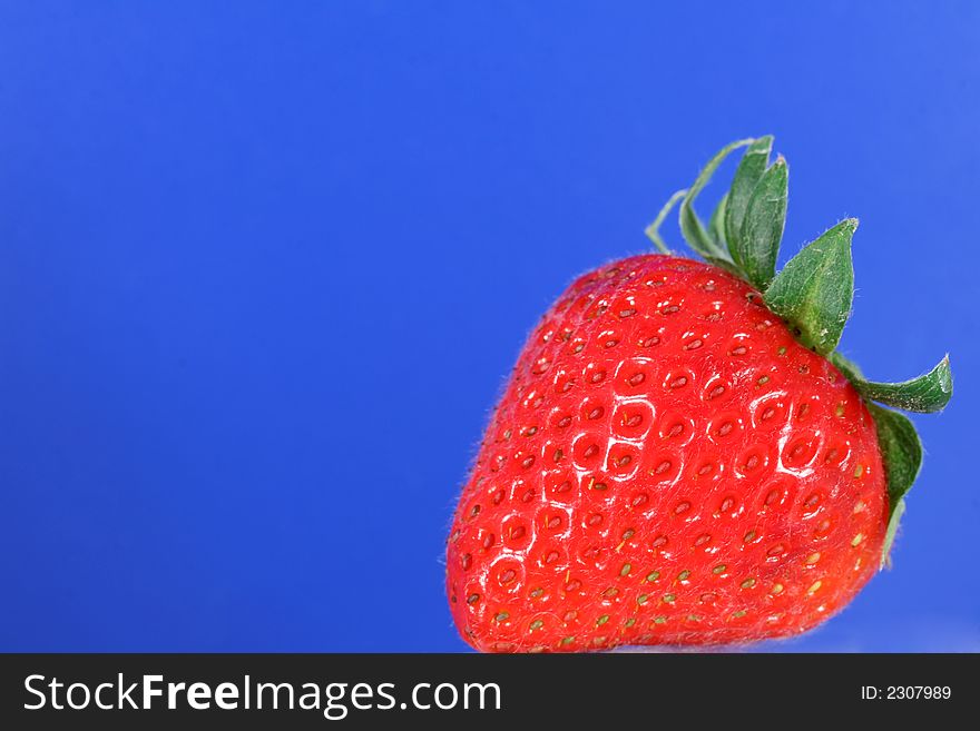 A single organic strawberry against a vibrant blue background