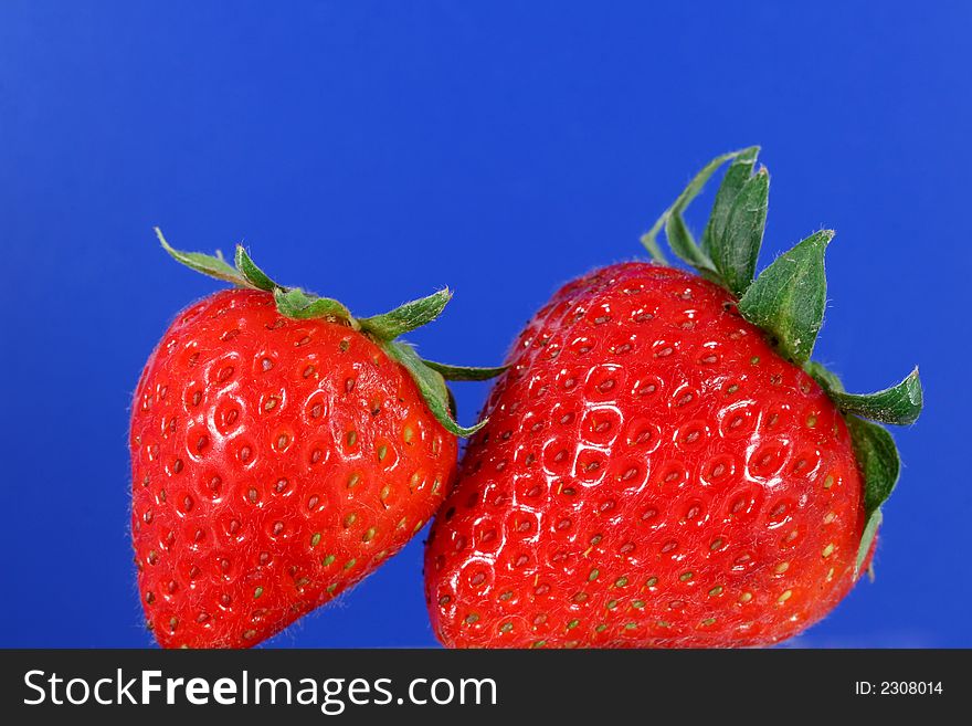 A couple of red organic strawberries with a vibrant blue background. A couple of red organic strawberries with a vibrant blue background