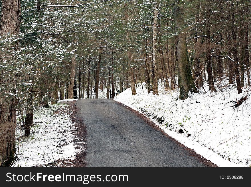 Early Spring Snowfall on Roaring Forks Nature Trail. Great Smoky Mountains National Park