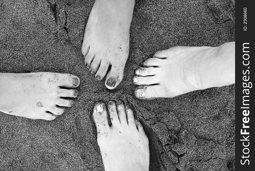Four feet stepping in together in the sand on the beach. Four feet stepping in together in the sand on the beach.