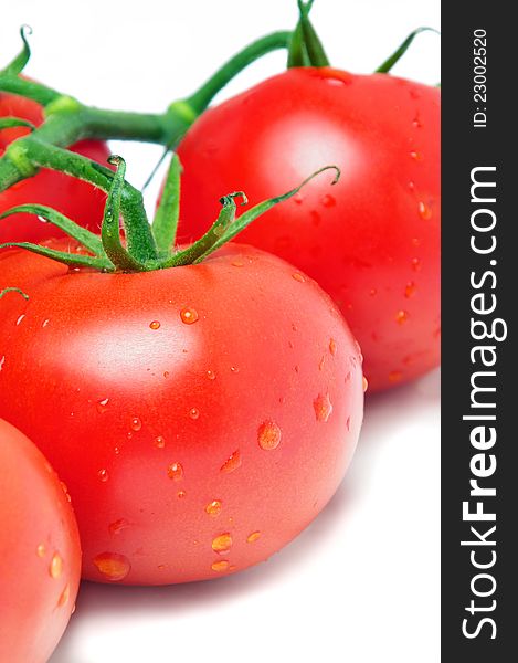 Tomatoes Closeup