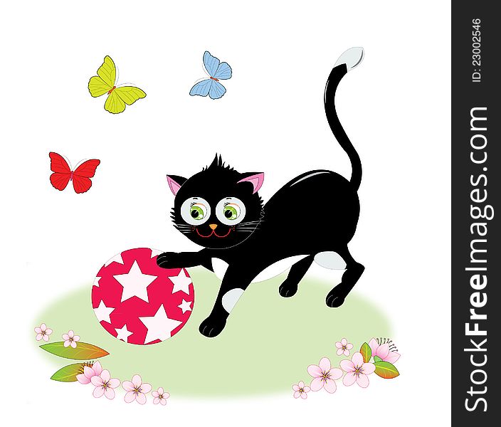 A cat playing with ball in the garden and butterflies flying around. A cat playing with ball in the garden and butterflies flying around.