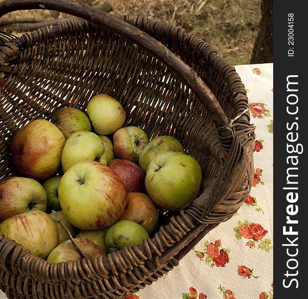 Apples in the basket on village, basket full of apples photographed on a rural meadow in autumn