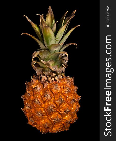One little pineapple isolated on black