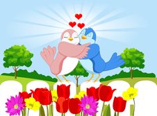 Love Birds Royalty Free Stock Image Love Birds Royalty Free Stock Image