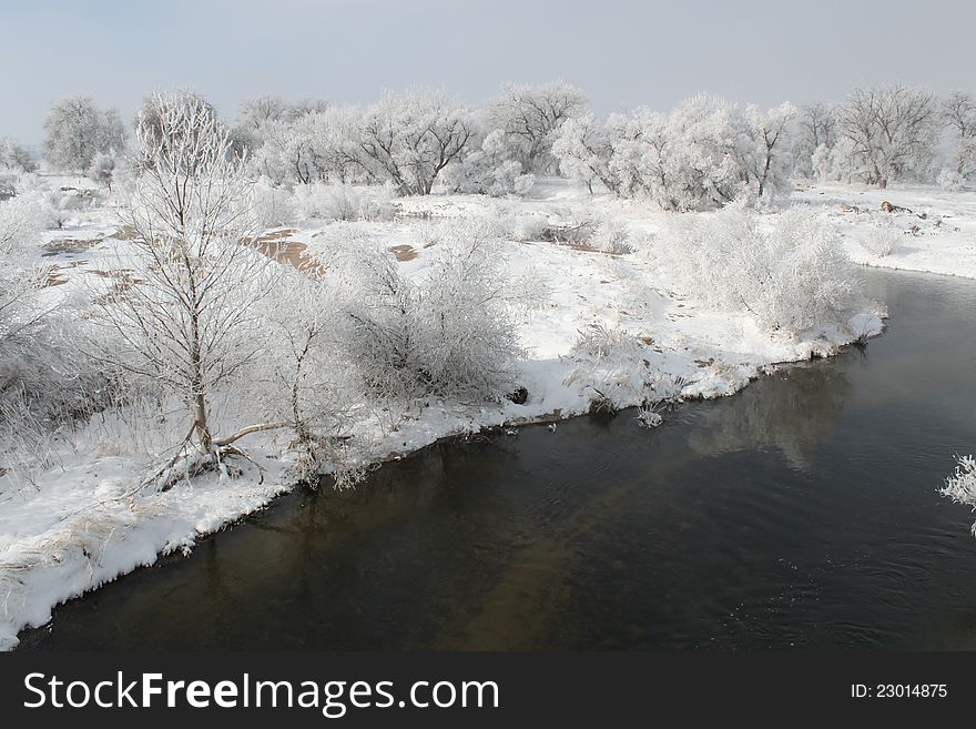 Winter scene around the Poudre River as the early morning mist begins to lift following an overnight snow fall. Winter scene around the Poudre River as the early morning mist begins to lift following an overnight snow fall.