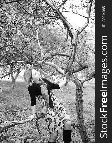Black&white image of a nice girl near the tree. Black&white image of a nice girl near the tree