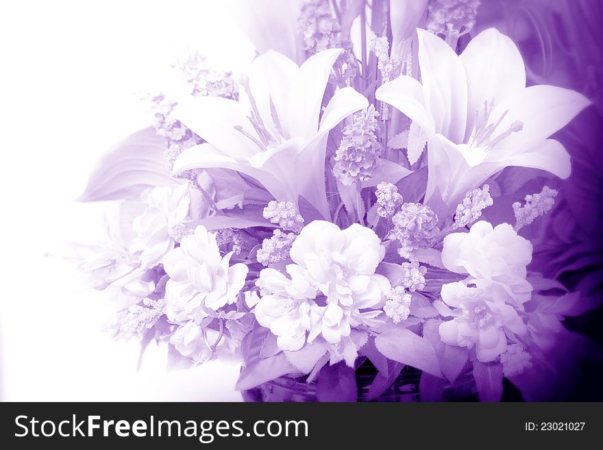 Lily flowers in purple background for easter