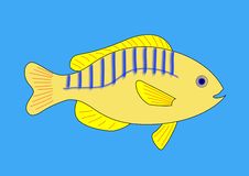 Yellow Fish With Blue And Red Stripes Stock Images Yellow Fish With Blue And Red Stripes Stock Images