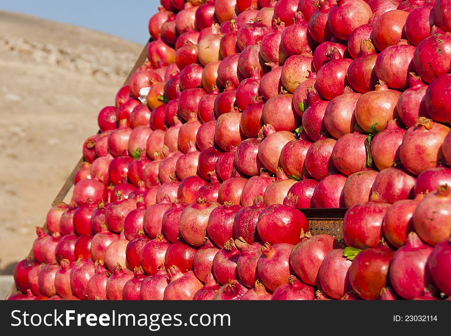 Pomegranates on display along the road in Jordan