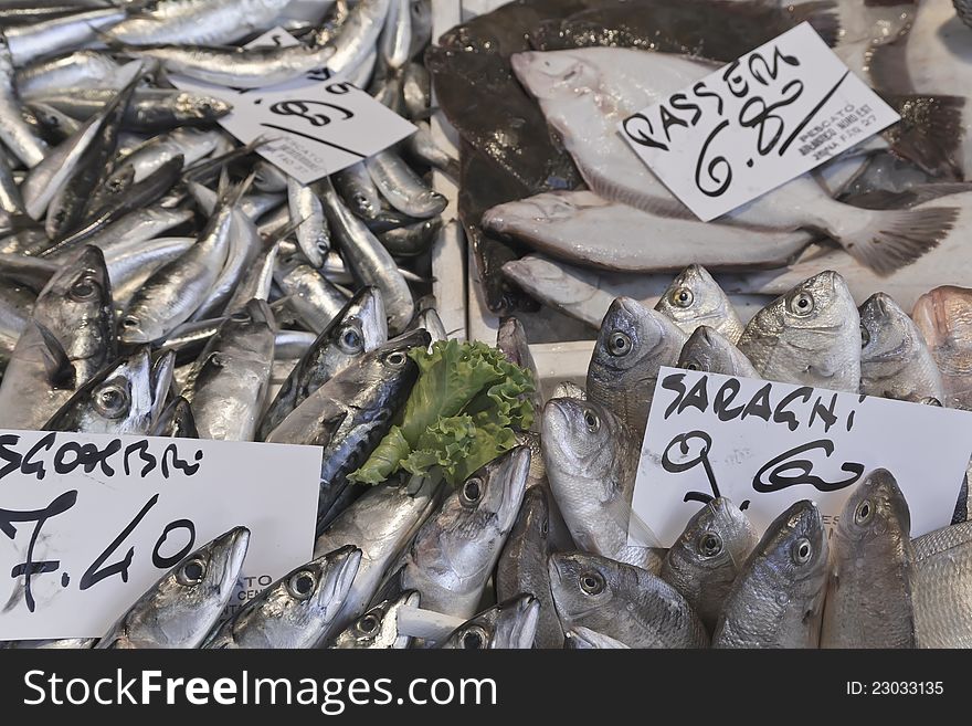 Fish exposed to the market with price tags in Euro (Venice, market by the Rialto Bridge, Italy)