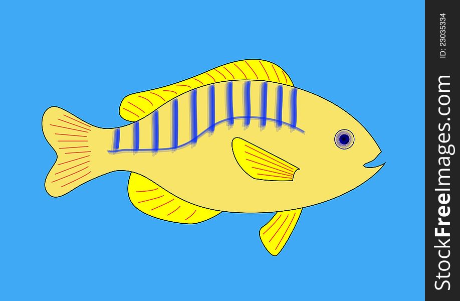 Yellow, blue and red fish against a clear blue background. Yellow, blue and red fish against a clear blue background.