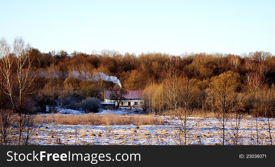 House In The Winter Forest