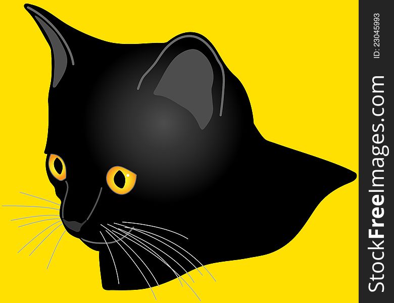 The head of a black or dark gray cat with bright golden eyes isolated on yellow. The head of a black or dark gray cat with bright golden eyes isolated on yellow.