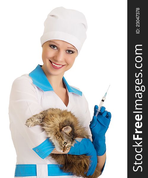 Vet nurse makes the injection of a cat on a white background