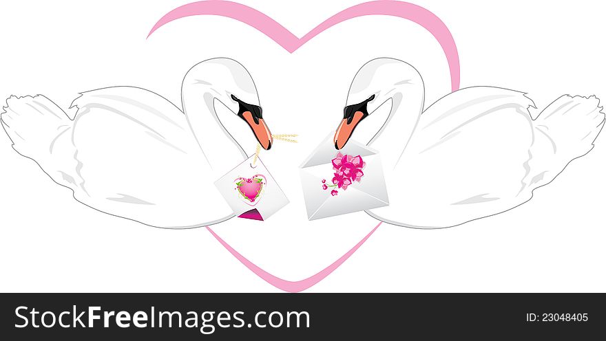 Pair of white swans with festive cards in beaks. Illustration