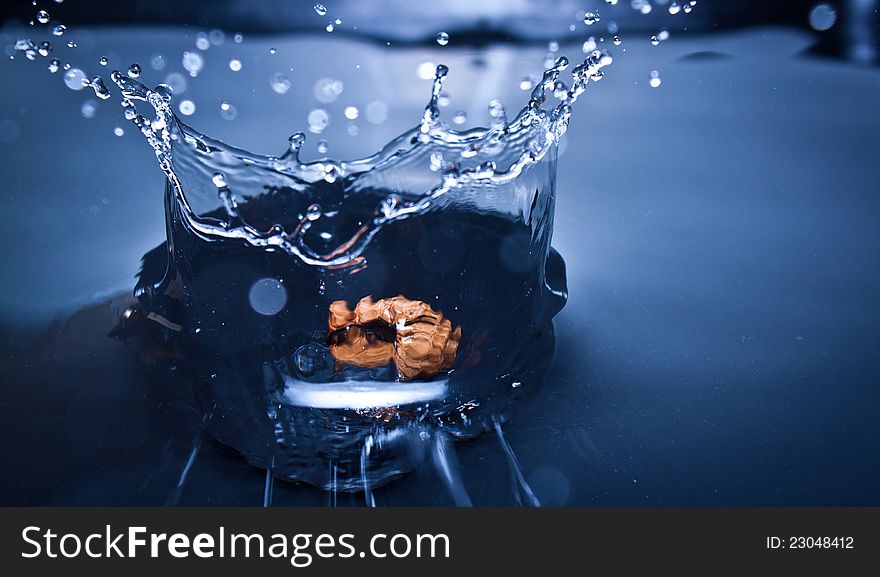 Nut splashing in water catched in the right moment. Nut splashing in water catched in the right moment